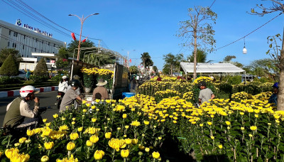 Nhộn nhịp thị trường hoa những ngày áp tết